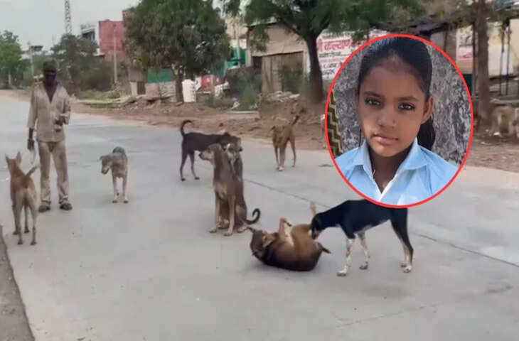 आवारा कुत्तों के हमले में बच्ची की दर्दनाक मौत, गांव में शोक और आक्रोश
