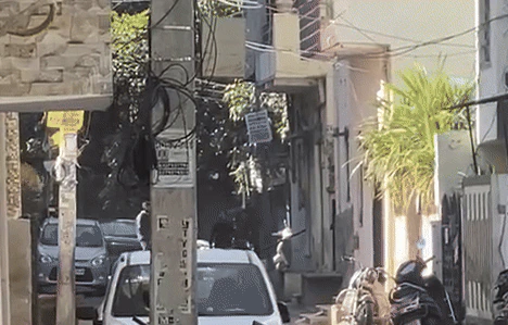 उदयपुर में आबादी क्षेत्र में घुसा लेपर्ड, घर में दुबके बैठे हैं लोग, मचा हड़कंप