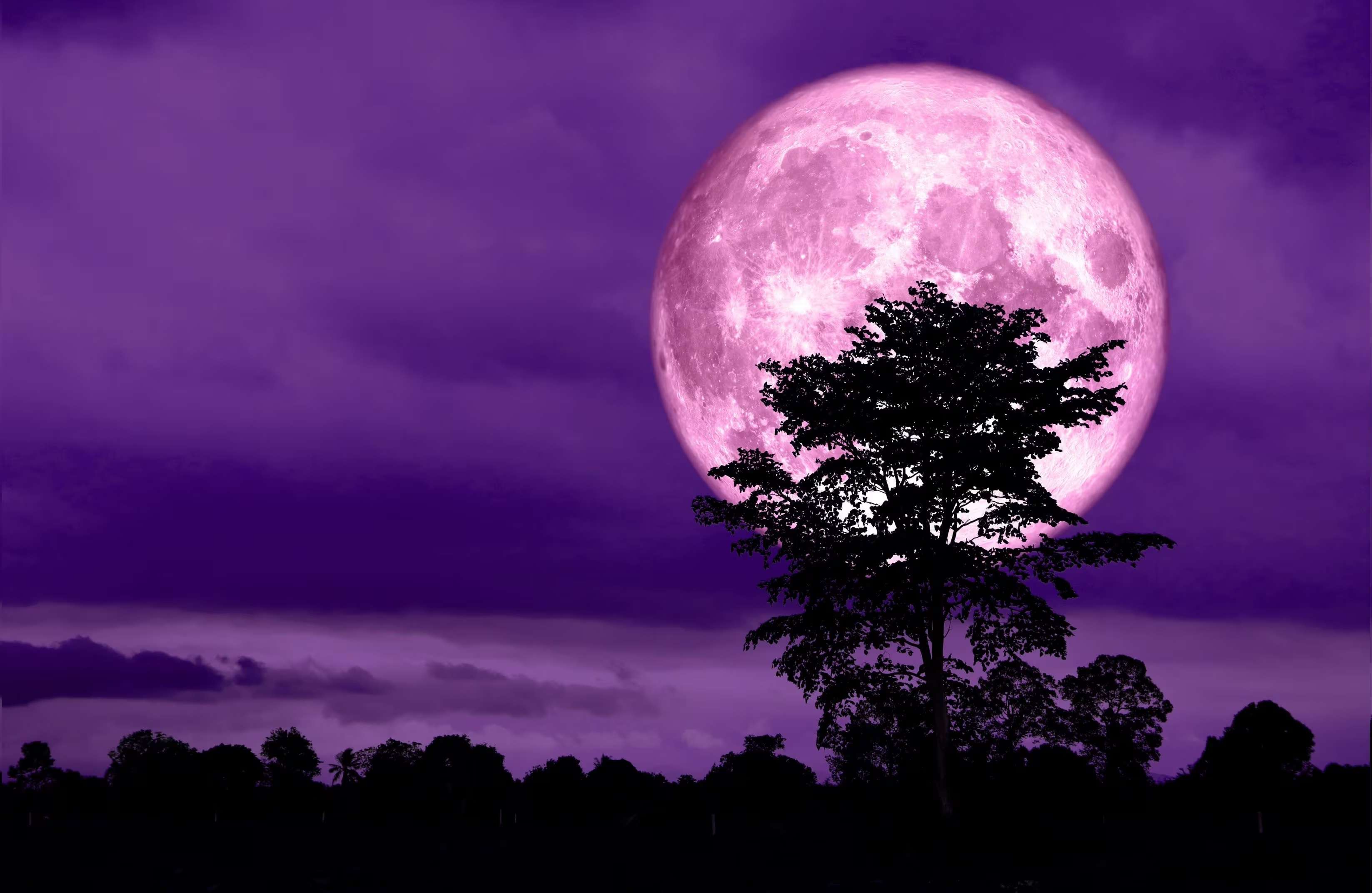 Pink full moon on chaitra purnima positive effect on 3 zodiac signs