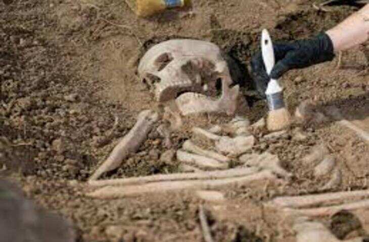 भीलवाड़ा में निर्माणाधीन भूखंड से मानव कंकाल मिलने से हड़कंप, पुलिस ने जांच शुरू की