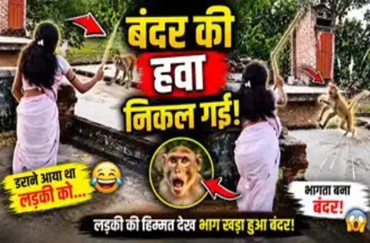 लड़की को डराने चला था बंदर, पलभर में खुद ही घबरा गया, मजेदार Video देख नहीं रुकेगी आपकी हंसी