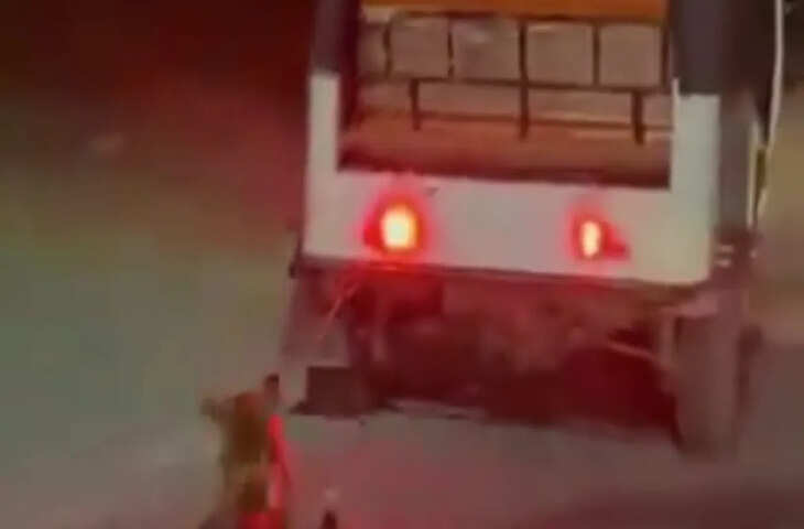 कुत्ते के गले में रस्सी बांधा, ऑटो रिक्शा ड्राइवर ने डॉग को घसीटा, वायरल हुआ Video तो भड़के लोग