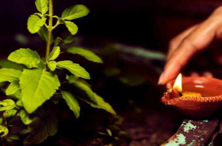 Devshayani Ekadashi Tulsi Upay: देवशयनी एकादशी पर तुलसी से जुड़े ये उपाय बदल सकते हैं किस्मत, धन-समृद्धि के लिए करें ये काम