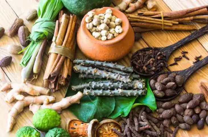 राजस्थान में बढ़ा आयुष उपचार का भरोसा, 81% परिवारों ने माना प्रभावी; आयुर्वेद बना पहली पसंद