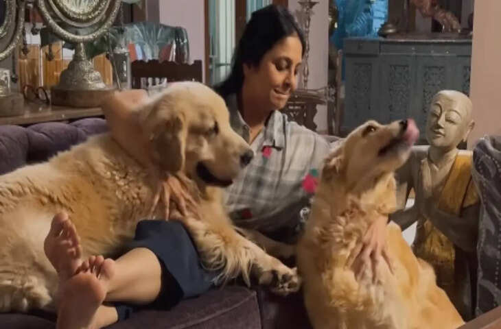 &lsquo;कुत्ते पाल लो&rsquo;&hellip; शादी और बच्चों के दबाव पर एक्ट्रेस की टिप्पणी वायरल, सोशल मीडिया पर छिड़ी बहस