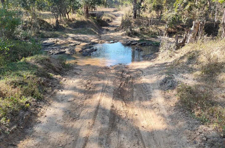 बालाघाट: PM जनमन स्कीम में बनी थी देश की पहली सड़क, पर भूले पुल बनाना; कीचड़ बना आदिवासियों के लिए मुसीबत