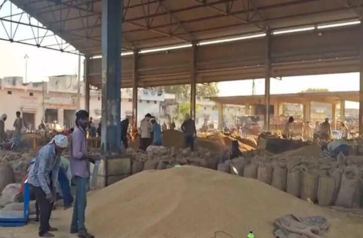 ओलावृष्टि से राजस्थान के किसानों पर दोहरी मार, फसलों को भारी नुकसान