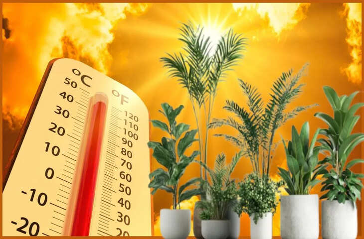 Nautapa Vastu Upay: नौतपा के दिनों में बढ़ेगी इनकम, बस घर के इस कोने में रख दें सस्ती वस्तु, खुलेंगे पैसे के रास्ते