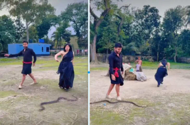 सांपों के बीच डांस कर रहे कपल की बिगड़ी हालत, युवती का पैर पड़ा सांप पर तो मचा हड़कंप