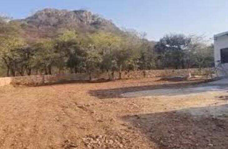 रणथंभौर में प्रदेश का पहला टाइगर रिजर्व वेटरनरी हॉस्पिटल तैयार, वीडियो में देंखे आधुनिक सुविधा से मिलेगा बाघों का बेहतर इलाज