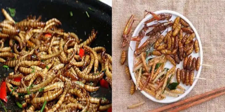 ये महिला खाने में रोज खाती हैं चींटियां और झींगुर, कीड़े-मकोड़े को बताया फेवरेट फ़ूड!
