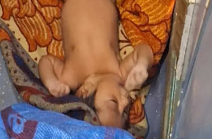 साहिबगंज-जमालपुर पैसेंजर ट्रेन में नवजात शिशु मिला, आरपीएफ ने बचाई जान