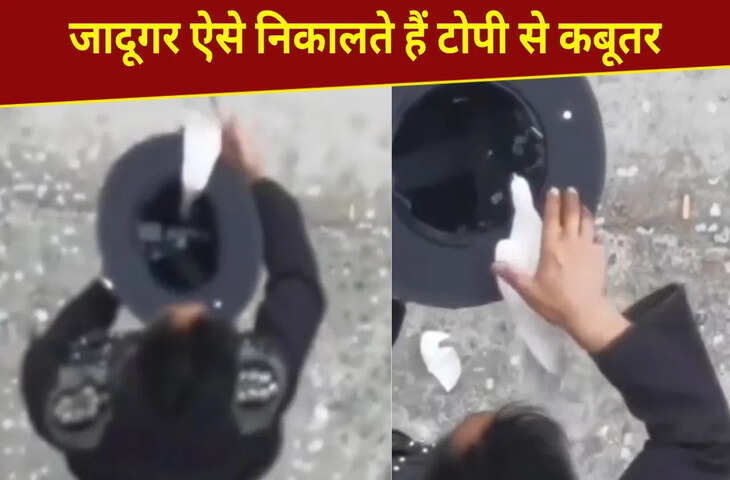 जादूगर टोपी से कैसे निकाल देते हैं कबूतर? ये VIDEO देख समझ जाएंगे पूरी ट्रिक