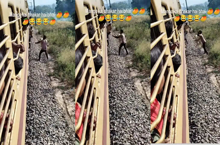 ट्रेन रुकने पर आम तोड़ते पकड़ा गया यात्री, मालिक ने कर दी ऐसी सजा कि भूल न पाए