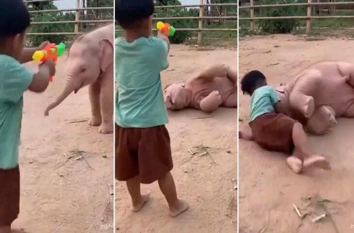बच्चे ने की &lsquo;ठांय-ठांय&rsquo; और नन्हा हाथी हो गया ढेर, इस &lsquo;गजराज&rsquo; की मासूम एक्टिंग ने जीता इंटरनेट का दिल