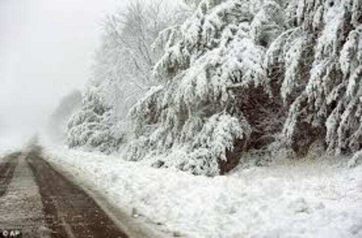 गया के सलैया गांव में गोली लगने से शफीउल्लाह अंसारी की मौत, पुलिस मामले की जांच में जुटी