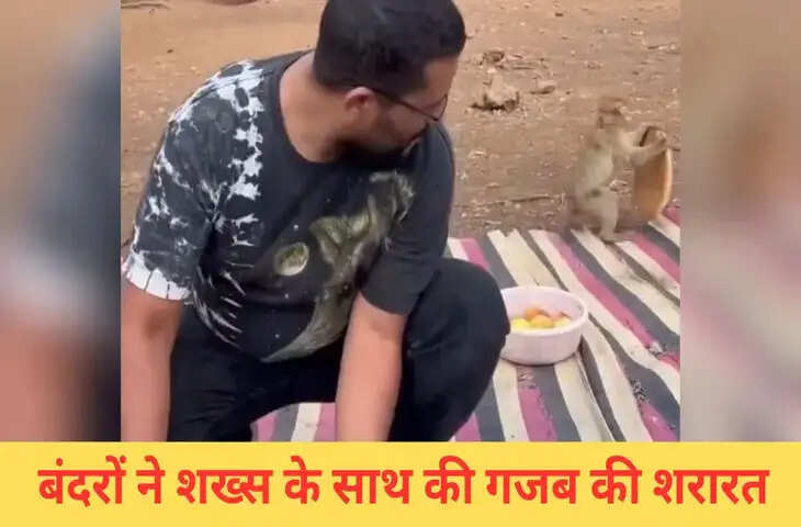 जंगल में पिकनिक मनाने गया बंदा, बंदरों ने ले ली मौज, देखिए क्या किया-VIDEO