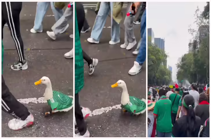 Viral Video: FIFA का ऐसा जुनून कि बत्तख भी बन गई फुटबॉल फैन, मेक्सिको जर्सी पहनकर सड़कों पर घूमती आई नजर