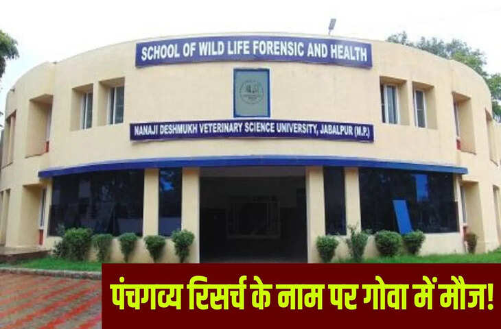 पंचगव्य से इलाज के नाम पर करोड़ों का घोटाला, जबलपुर वेटरनरी यूनिवर्सिटी में 3.5 करोड़ की राशि का दुरुपयोग उजागर