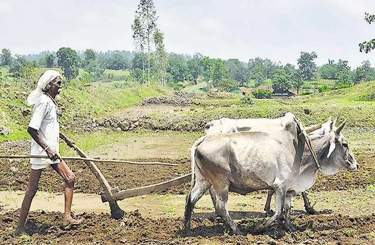 Bhagalpur देश के 75 कृषि उद्यमियों व अन्वेषकों में बिहार से सिर्फ ‘किसान चाची’