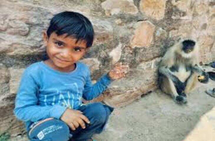 रणथंभौर राष्ट्रीय उद्यान में बाघ ने सात वर्षीय बालक को मार डाला