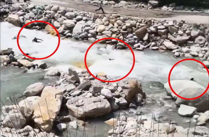 कुल्लू में बड़ा हादसा टला, पार्वती नदी में बहते-बहते बचे तीन पर्यटक, स्थानीय लोगों की सूझबूझ से बची जान