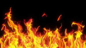 Rewari रेवाड़ी में 3 दुकानों में लगी भीषण आग