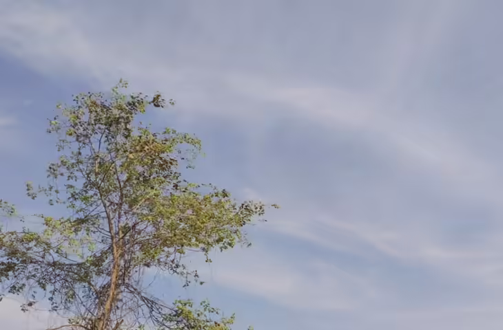 राजस्थान में 18 मार्च से सक्रिय होगा नया मजबूत मौसम सिस्टम, कई जिलों में बारिश और ओलावृष्टि का अलर्ट