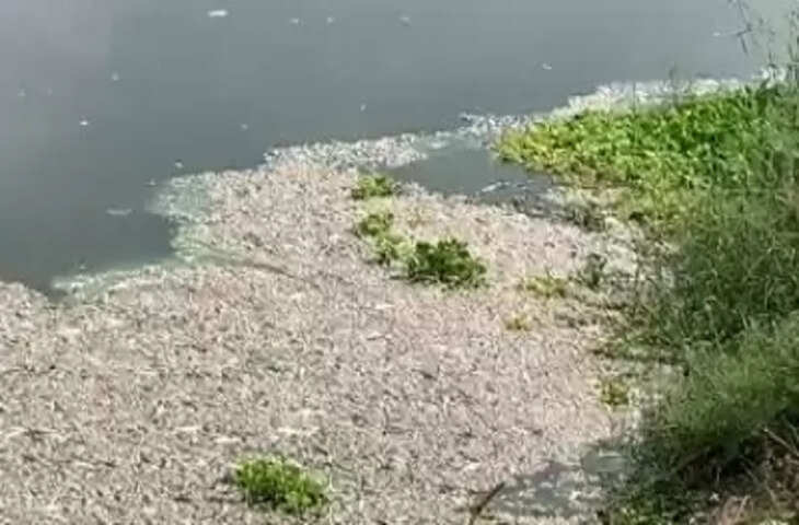 Delhi के नजफगढ़ ड्रेन में चलेगी नाव