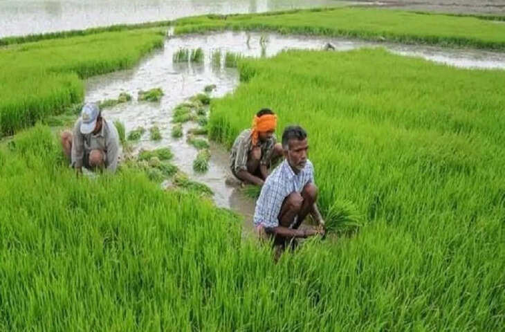 Government Scheme 2026: किसानों के बच्चों के लिए बड़ी खुशखबरी, सरकार दे रही है ₹5000 महीना, ऐसे करें आवेदन