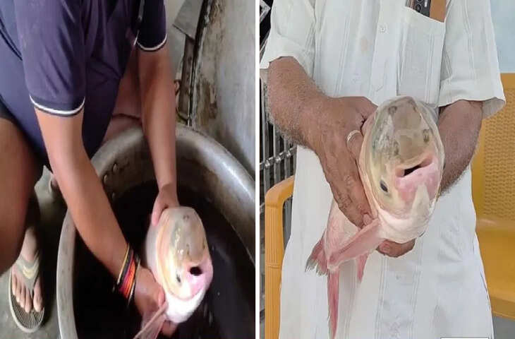 मोतिहारी में &lsquo;चार आंखों वाली मछली&rsquo; मिलने से सनसनी, ग्रामीणों की भीड़ उमड़ी