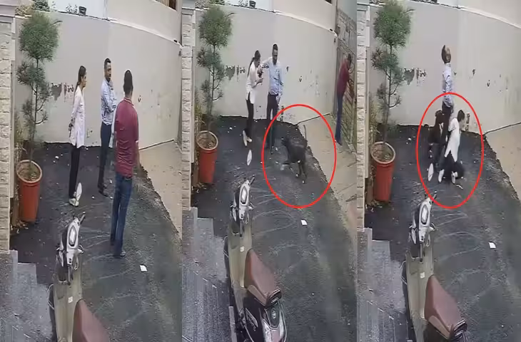मकान देखने पहुंचे पति-पत्नी पर Pitbull का हमला! पत्नी को करानी पड़ी सर्जरी, पति को भी आई गंभीर चोटें​​​​​​​