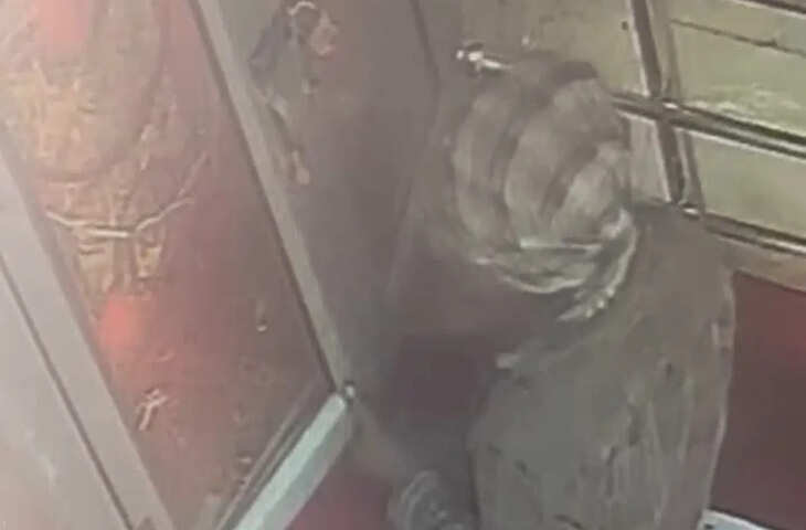 चोरी से पहले 5 बार किया प्रणाम और साफ कर दिए वहां रखे पैसे, फिर 5 बार प्रणाम कर हो गया फरार