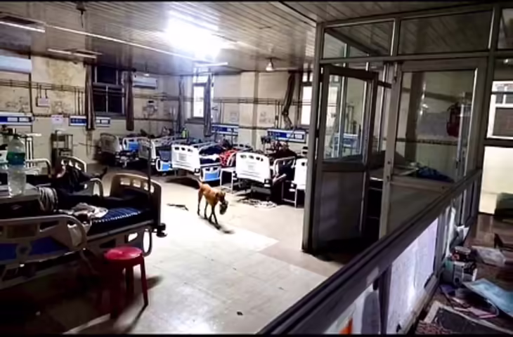 Ajmer में अस्पताल के शिशु वार्ड में रात 3 बजे घूमते रहे श्वान, जेएलएन प्रशासन की घोर लापरवाही उजागर