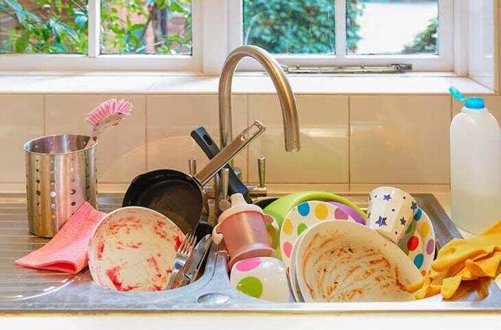 Kitchen Tips: रातभर सिंक में भिगोकर रखते हैं गंदे बर्तन? जानें क्यों बढ़ सकती है कीड़ों और बदबू की समस्या