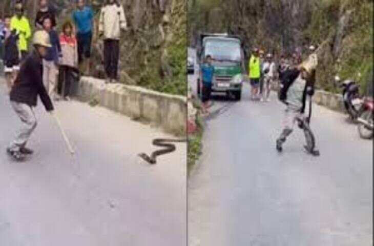 तमाशा उल्टा पड़ गया, बीच सड़क कोबरा से लड़ने लगा शख्स, सांप ने पैर में काटा, वीडियो वायरल