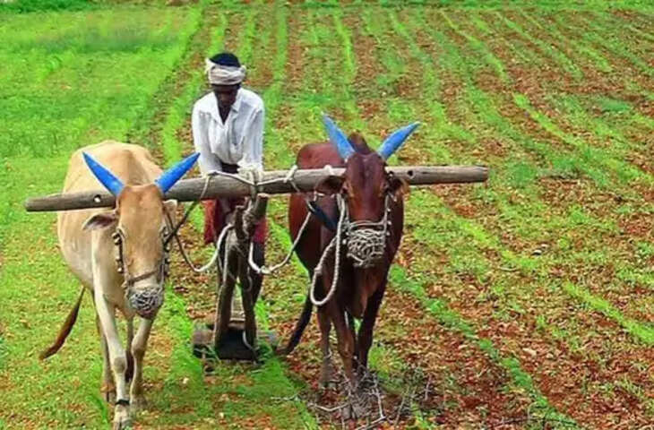 किसान संघ की 7 सूत्रीय मांगें, भावांतर योजना मंजूर नहीं; 7 फसलों की MSP पर पूरी खरीदी करे सरकार