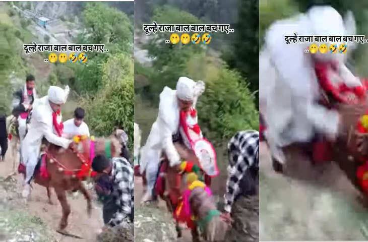 गधे पर निकली दूल्हे की बारात, लेकिन रास्ते में हुआ ऐसा मजेदार हादसा कि देखकर निकल ही जाएगी हंसी, देखे वायरल वीडियो&nbsp;