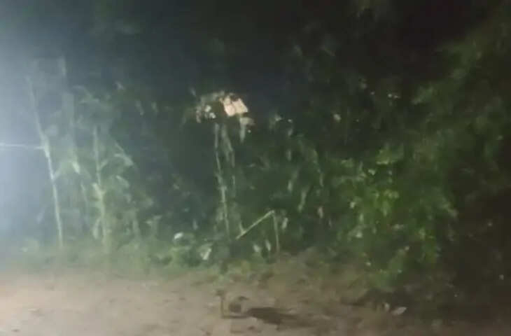 बांधवगढ़ में मक्के के खेत में घुसा जंगली हाथी, ग्रामीणों और BTR टीम ने पटाखे फोड़कर जंगल की ओर खदेड़ा