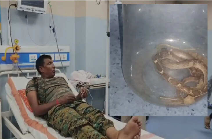 बिहार शरीफ में चौंकाने वाली घटना, जूता पहनते ही पुलिसकर्मी को सांप ने काटा, फिर भी हिम्मत दिखाकर सांप को अस्पताल ले गया