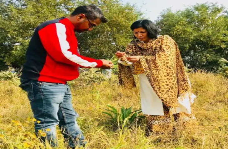 Rewari विलुप्त पौधों और कीट प्रजातियों की टीम कर रही पहचान