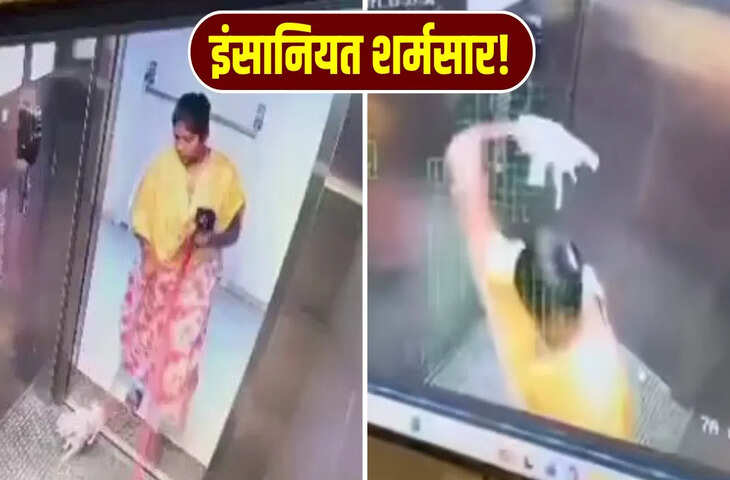  महिला ने पिल्ले के साथ लिफ्ट में की दरिंदगी, CCTV फुटेज देख लोगों का खौल गया खून
