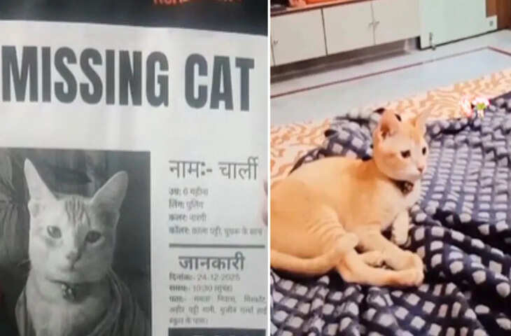 6 दिन से गायब है बिल्ला चार्ली? मोतिहारी में चप्पे-चप्पे पर पुलिस कर रही तलाश, मालिक ने इनाम का किया ऐलान