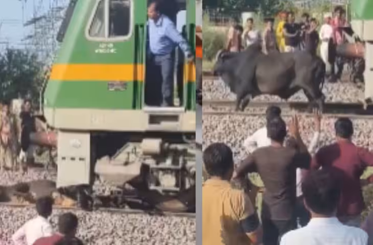 Viral Video: सांड की जान बचाने के लिए लोको पायलट ने लगाई इमरजेंसी ब्रेक, सोशल मीडिया पर जमकर हो रही सराहना