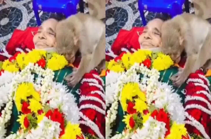 कर्नाटक में 85 वर्षीय महिला के अंतिम संस्कार में भावुक कर देने वाला दृश्य, बंदर ने जताया शोक