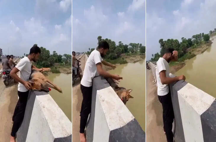 Dog Viral Video: पहले पालतू कुत्ते के लिए बहाए आंसू, फिर नदी में फेंका शव; वायरल VIDEO पर लोगों का फूटा गुस्सा