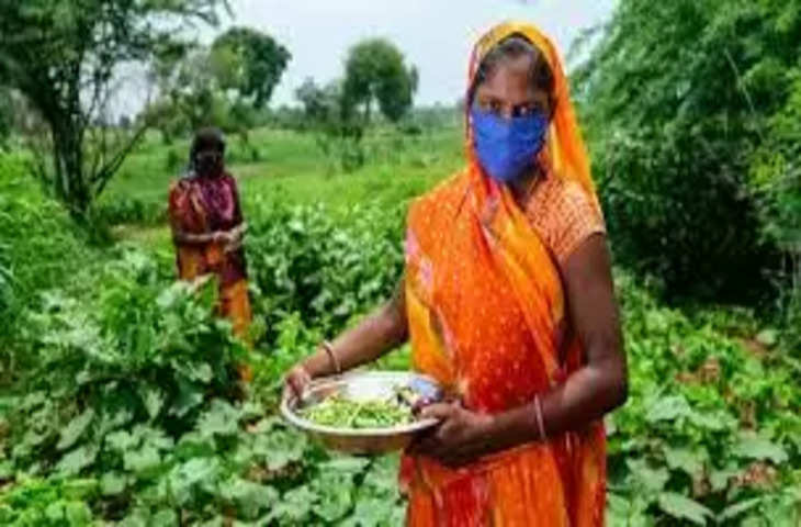 Mandi सब्जी बेच कमाई कर रही महिलाएं