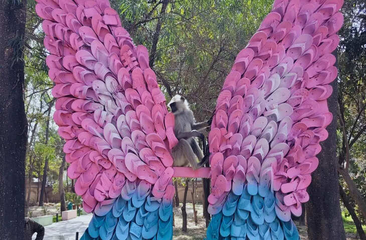 जीरो वेस्ट महोत्सव&rsquo; ने बदल दी मेले की सोच, कचरे को बनाया विकास का आधार