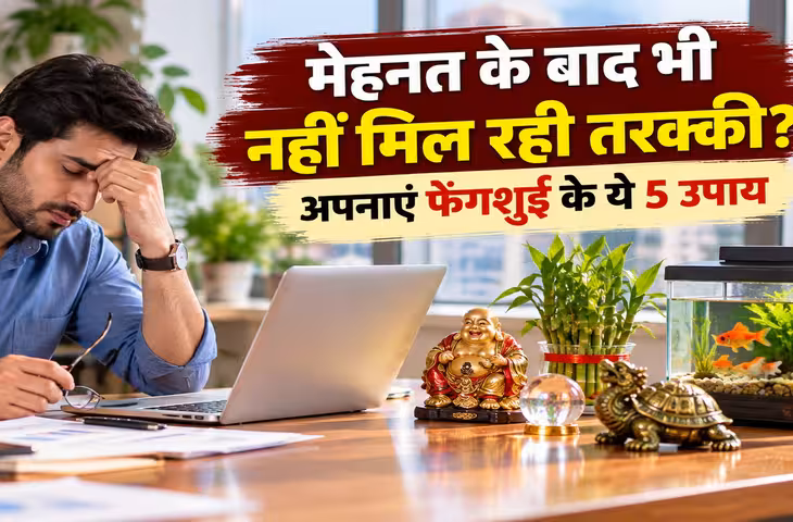 मेहनत के बाद भी नहीं मिल रही तरक्की? फेंगशुई के ये 5 उपाय दूर करेंगे करियर की बाधाएं
