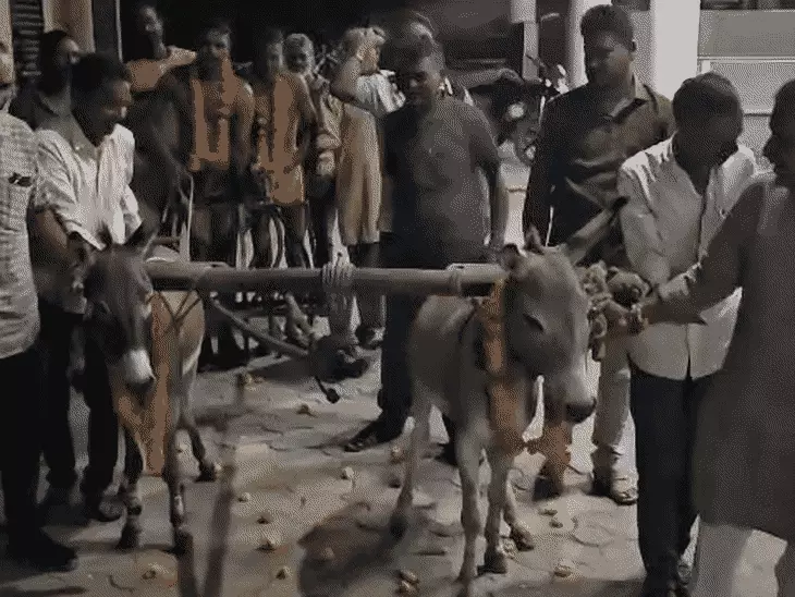 बारिश के लिए श्मशान घाट में गधों से कराई नमक-उड़द की बुवाई, फूलों की माला पहनाकर काल भैरव से की पूजा